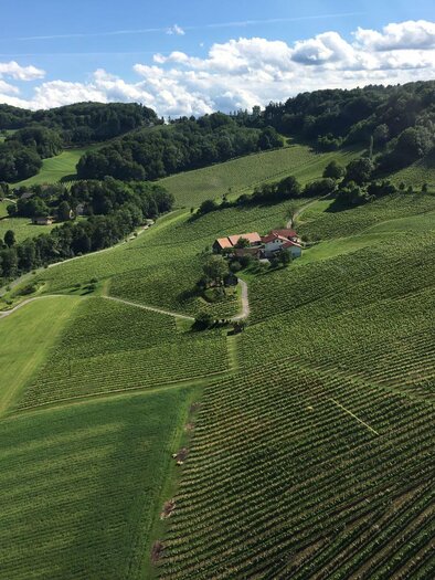 Weinhof Kugel Christian | © Weinhof Kugel