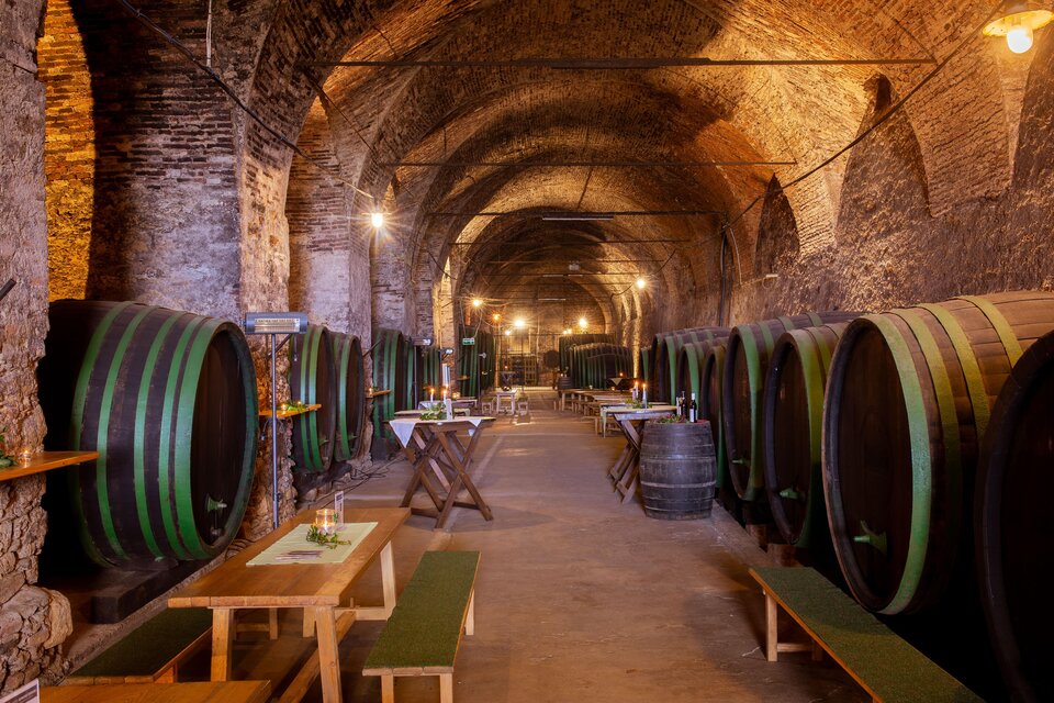 Weinkeller Schloss SEGGAU - Impression #1 | © Janez Kotar