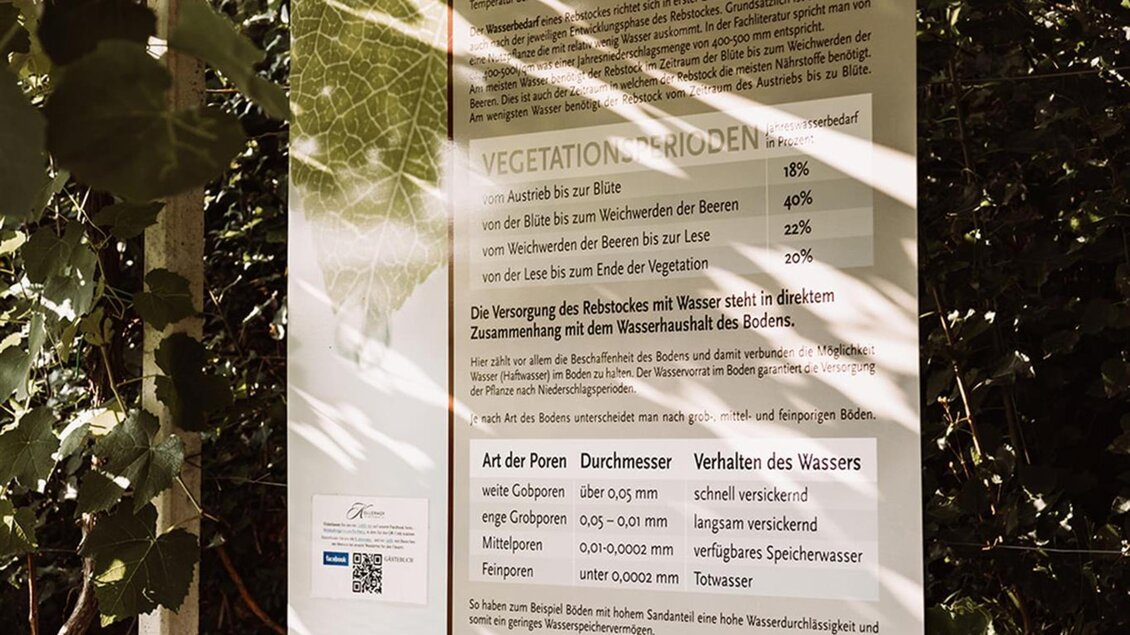 Weinkulturgarten - Impressionen #2.4