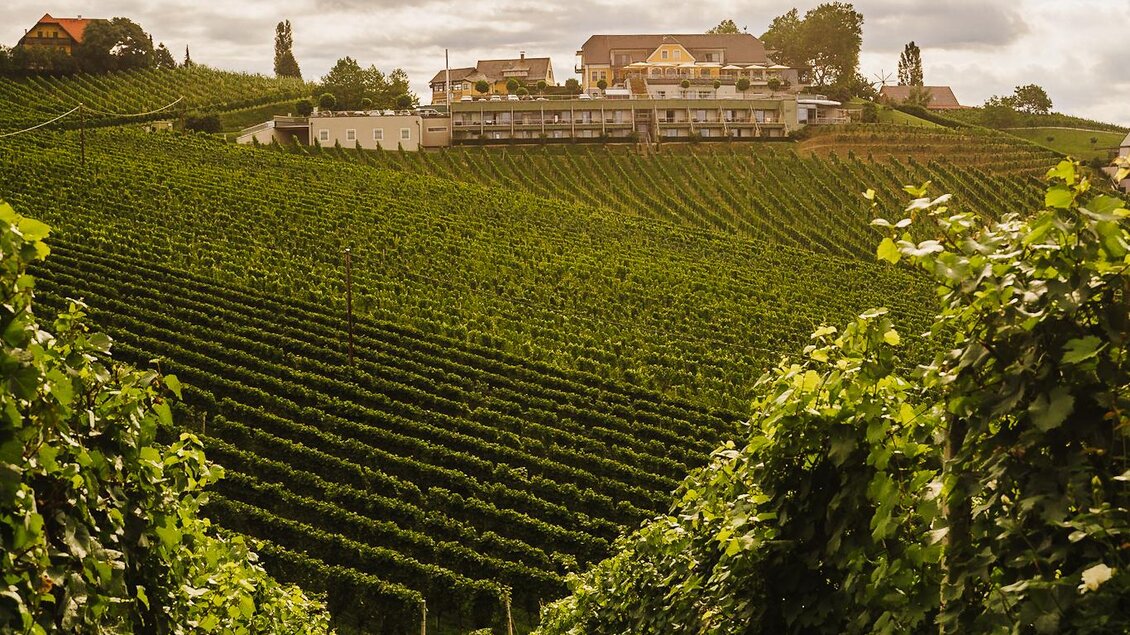 Ein malerischer Weinberg mit Reihen von Rebstöcken und sanften Hügeln im Hintergrund. Der Himmel ist bewölkt und verleiht der Landschaft eine stimmungsvolle Atmosphäre. | © Weinrefugium Brolli