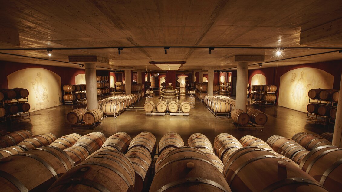 Ein stiller Weinkeller mit vielen großen Holzfässern. Sanftes Licht beleuchtet den Raum und schafft eine gemütliche Atmosphäre.