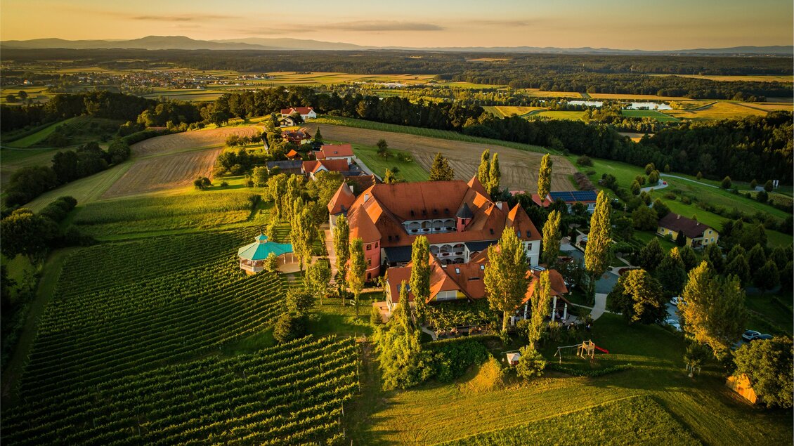 Eine malerische Landschaft mit einem historischen Gebäude umgeben von Weinbergen. Die sanften Hügel und der klare Himmel schaffen eine idyllische Atmosphäre.