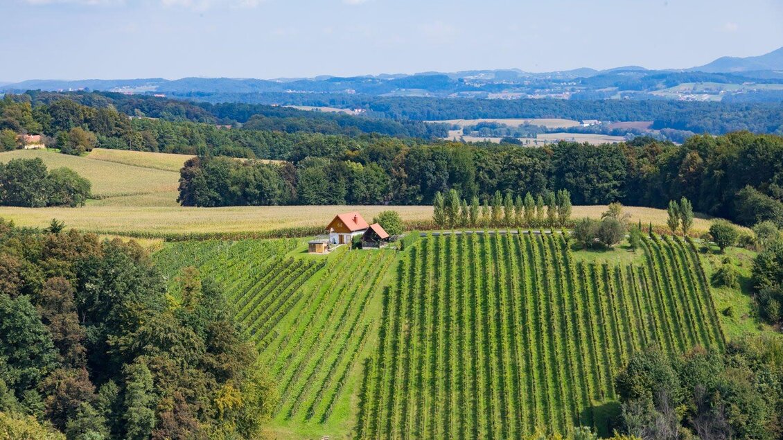 Weinwarte in St. Peter/O. - Impressionen #2.8