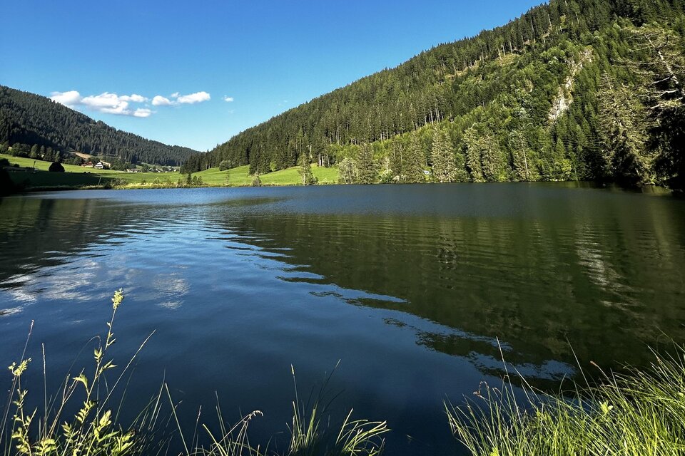 Weirerteich Pond - Impression #1 | © Tourismusverband Murau