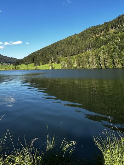 Weirerteich | © Tourismusverband Murau