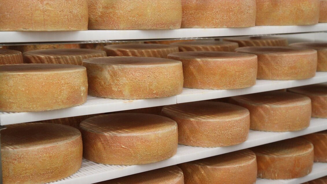 Käselaibe Weizer Schafbauern | ©  Weizer Schafbauern