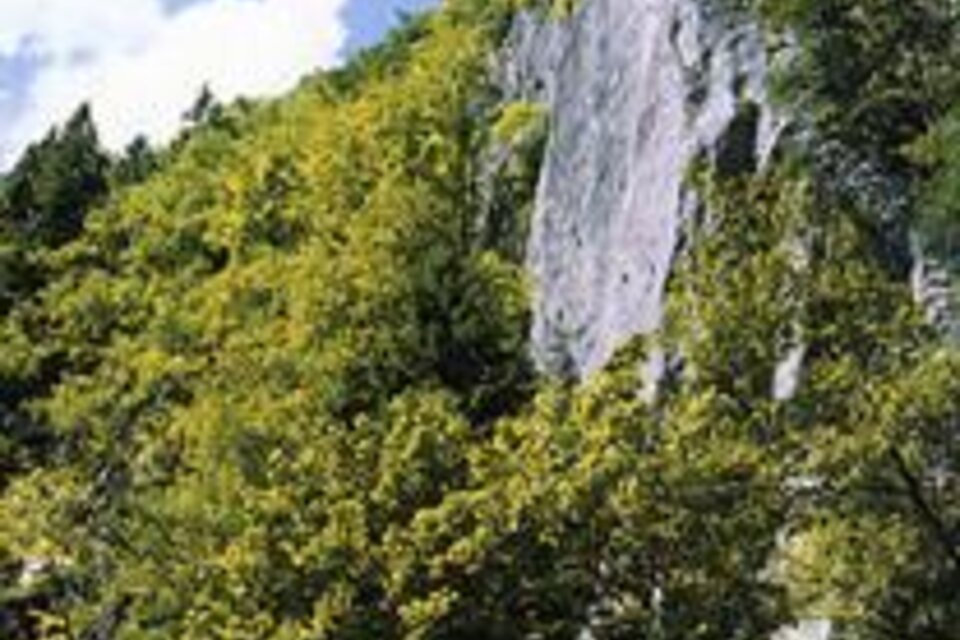 Weizklamm  - Impression #1 | © Oststeiermark Tourismus