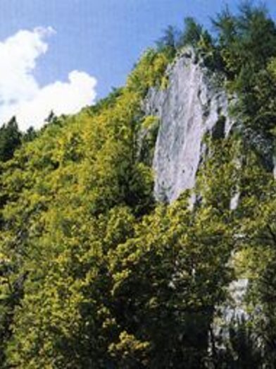 Weizklamm_Eastern Styria  | © Oststeiermark Tourismus | © Oststeiermark Tourismus