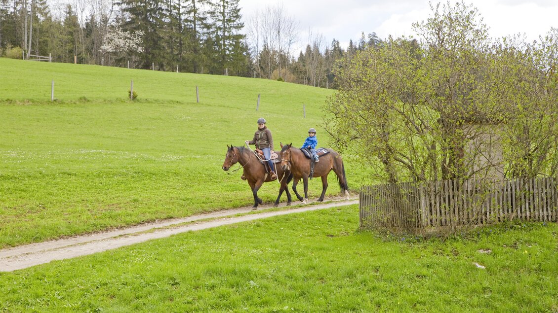 Zwei Personen reiten auf Pferden entlang eines Feldwegs. Die Umgebung ist grün mit Bäumen im Hintergrund. | © Lasingerhof