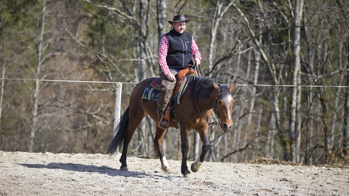 Ein Reiter auf einem braunen Pferd in einem offenen Gelände. Im Hintergrund sind Bäume zu sehen und es scheint ein sonniger Tag zu sein. | © Lasingerhof