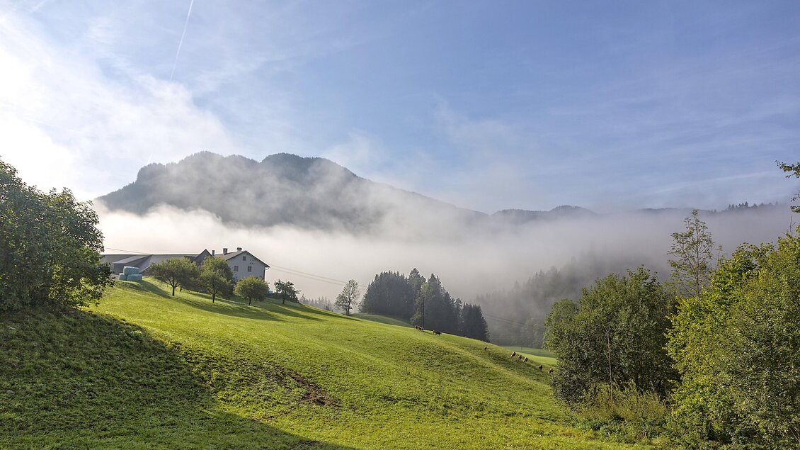 Eine malerische Landschaft mit sanften Hügeln und üppigem Grün. Im Hintergrund sind Berge und Nebel zu sehen, die eine ruhige Atmosphäre schaffen. | © Lasingerhof