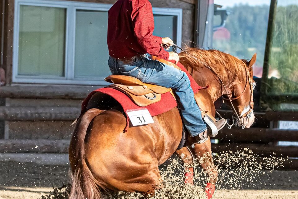 Westernreithof Stricker - Impression #1 | © Westernreithof Stricker