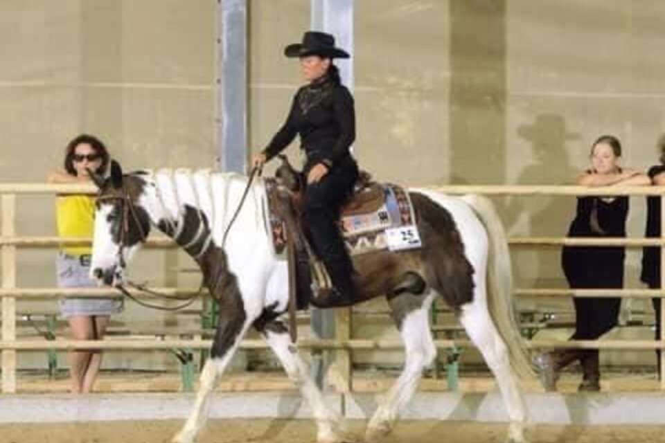 Westernreittraining - Impression #1 | © Tina Edenhofer