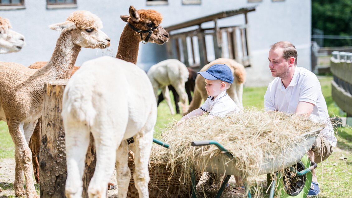 Wieserhof - Impressionen #2.4