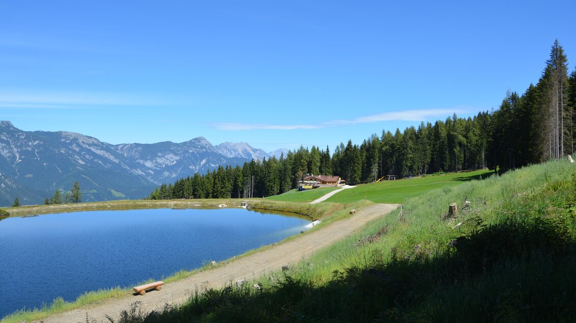 Ein ruhiger See umgeben von grünen Wiesen und dichten Wäldern. Im Hintergrund sind majestätische Berge und ein blauer Himmel zu sehen. | © eigen