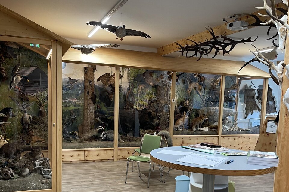 Wildlife & Habitat Exhibition  - Impression #1 | © Tourismusverband Murau