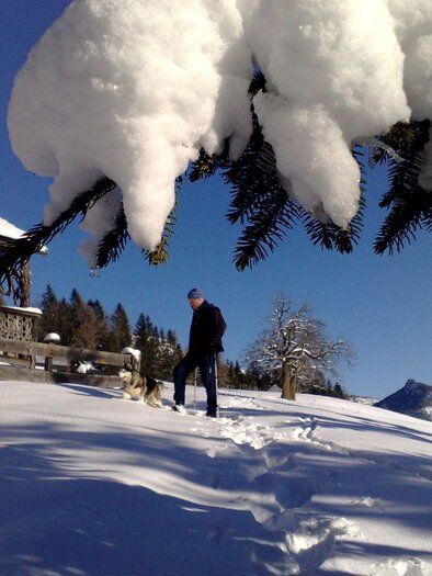 A snowy winter day with a wooden house in the background. A person walks through the snow as large snowdrifts fall from the branches. | © Knödl-Alm