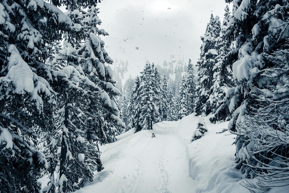 Winterwanderweg Planneralm - Impression #1