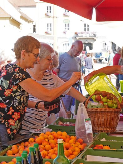 A lively market with people shopping for fresh fruit. The stalls are richly filled with oranges and other products. | © Stadtgemeinde Bruck/Foto: Maili