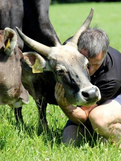 Zeburind | © Zebuhof Muster