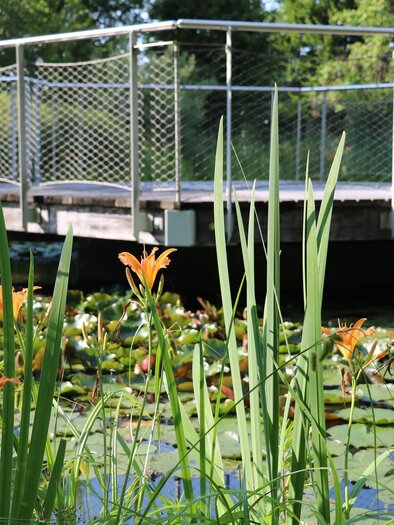 Aupark Vogau | © TV Die Südsteirische Weinstraße/Julia Kerschbaumer