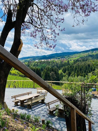 Gundersdorf Florlwirt SB Station Aussicht | © Schilcherland Steiermark