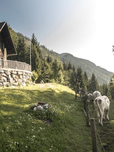 Bergbauern Lackneralm | © Stefan Leitner