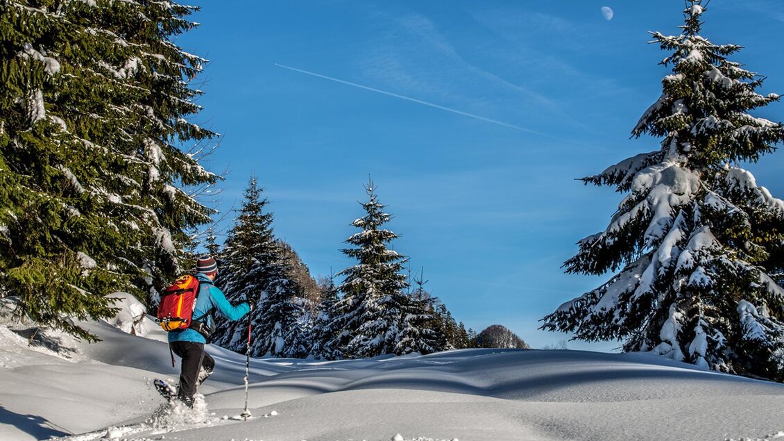 Schneeschuhwandern mit Kiki | © Christian Scheucher