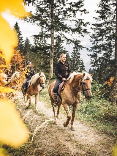 Reiten am Laussabauerhof | © Stefan Leitner