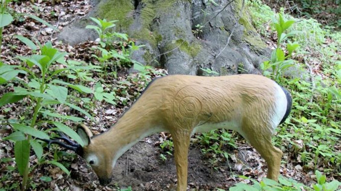 2017_Bogenparcours_(c) Ulrike Elsneg (35) | © Ulrike Elsnegg