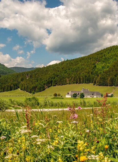 Kaiserau | © Christian Scheucher | © Christian Scheucher