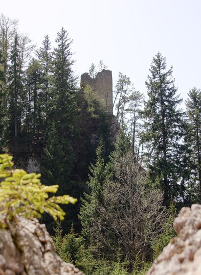 Burgruine Ehrenfels | © Marktgemeinde Kammern