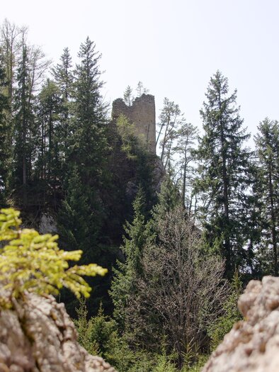 Burgruine Ehrenfels | © Marktgemeinde Kammern