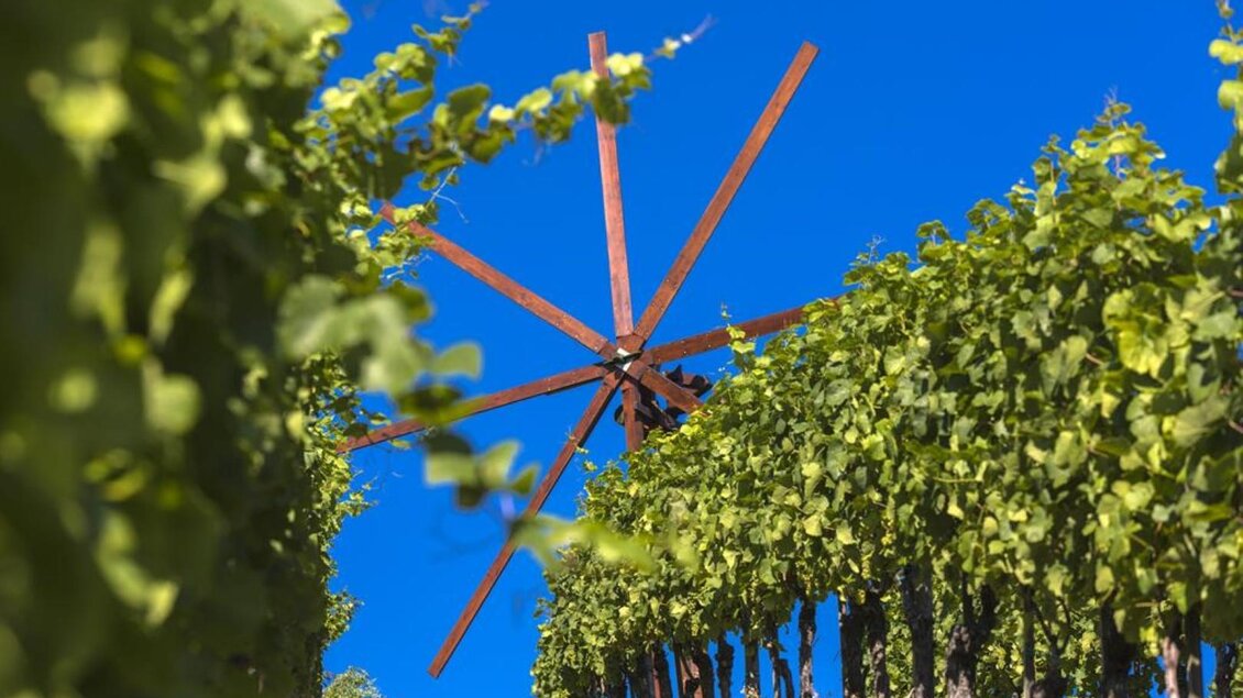 Dreisiebner Stammhaus_3 | © Dreisiebner