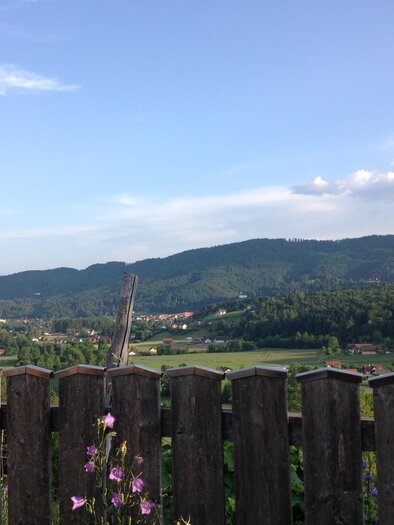 Hansentoni Ausblick | © Buschenschank Hansentoni