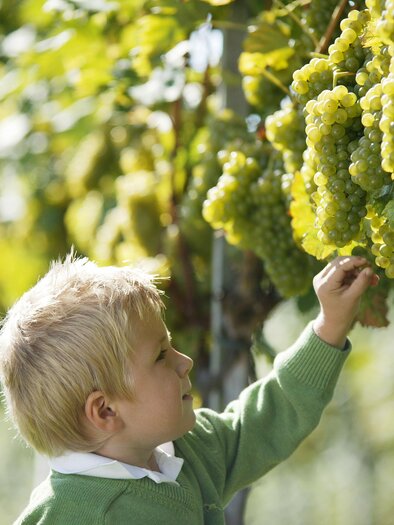 ...da möchte man probieren. | © Thermen- & Vulkanland I Harald Eisenberger