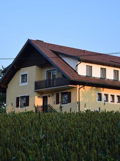 Buschenschank Riedl | © Weinbau Riedl | © Weinbau Riedl