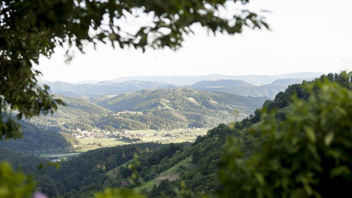 Aussicht vom Sitzgarten | © Karin Bergmann