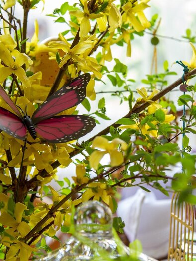 Liebe zum Detail | © Schilcherland Steiermark