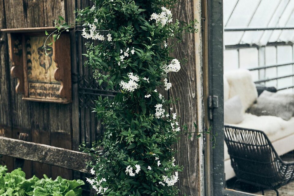 der pranzl Blumen & Co - Impression #1 | © Armin Walcher