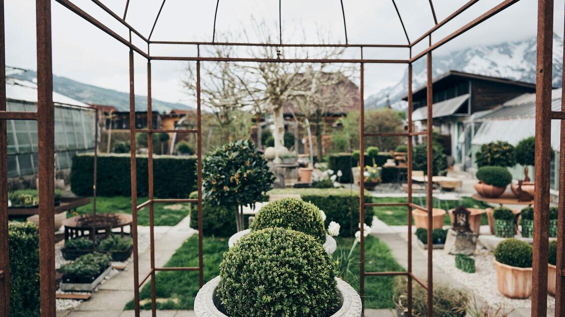 Ein schöner Garten mit einem Eisenrahmen und gepflegten Pflanzen. Im Hintergrund sind Bäume und Gebäude sichtbar. | © Armin Walcher