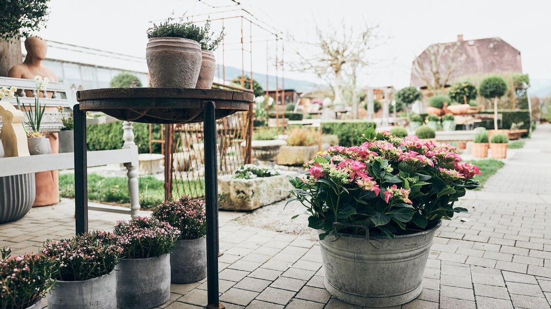 Ein blühender Garten mit verschiedenen Pflanzen und Töpfen. Im Vordergrund steht ein Tisch mit einem Pflanztopf und farbenfrohen Blumen. | © Armin Walcher