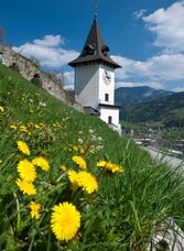 Der Brucker Schlossberg | © H. Schiffer | © H. Schiffer
