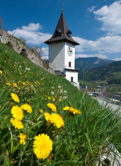 Der Brucker Schlossberg | © H. Schiffer