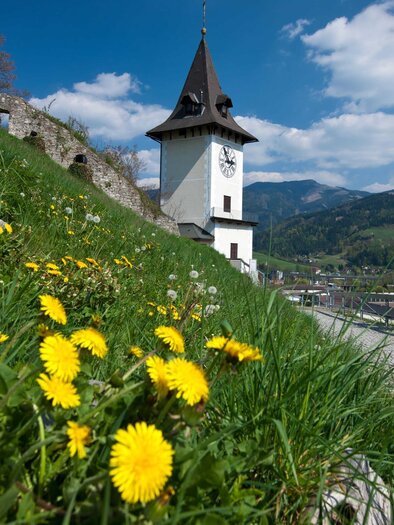 Der Brucker Schlossberg | © H. Schiffer