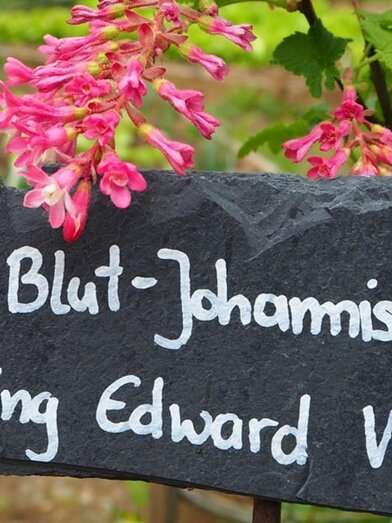 Die Amtmann_2 | © Die Amtmann | © Die Amtmann