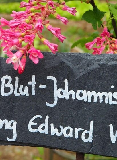 Die Amtmann_2 | © Die Amtmann | © Die Amtmann