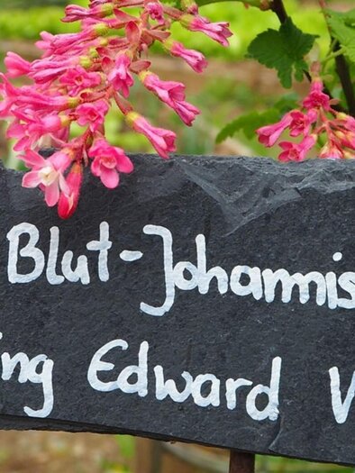 Die Amtmann_2 | © Die Amtmann