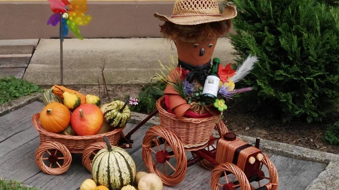 Kürbisswagen | © Marx-Stadlhofer