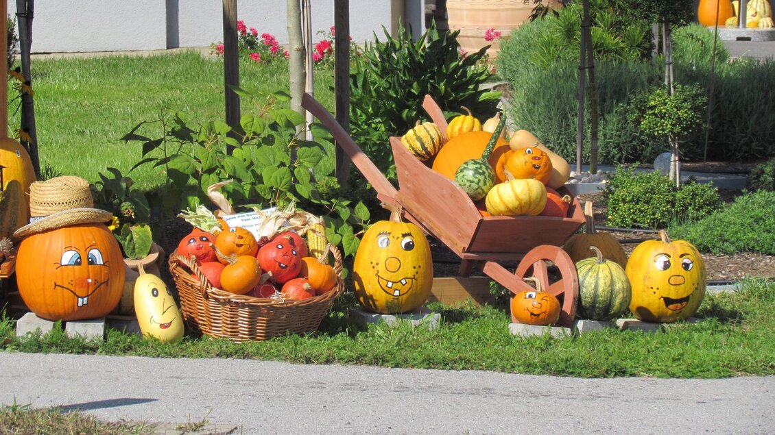 Lustige Kürbisse | © Marx-Stadlhofer